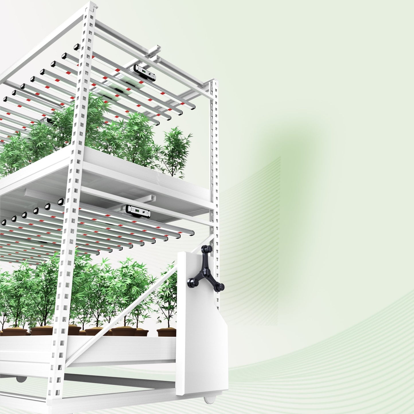 Indoor Grow Lights | LED Grow Lights | HIGHGRADE.CH