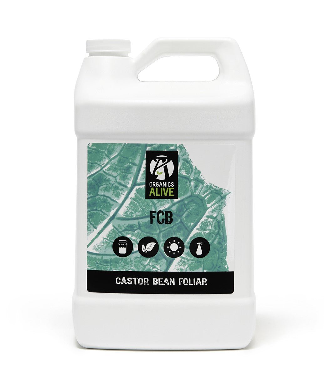 Castor Beans Foliar | FCB Castor Foliar | HIGHGRADE.CH