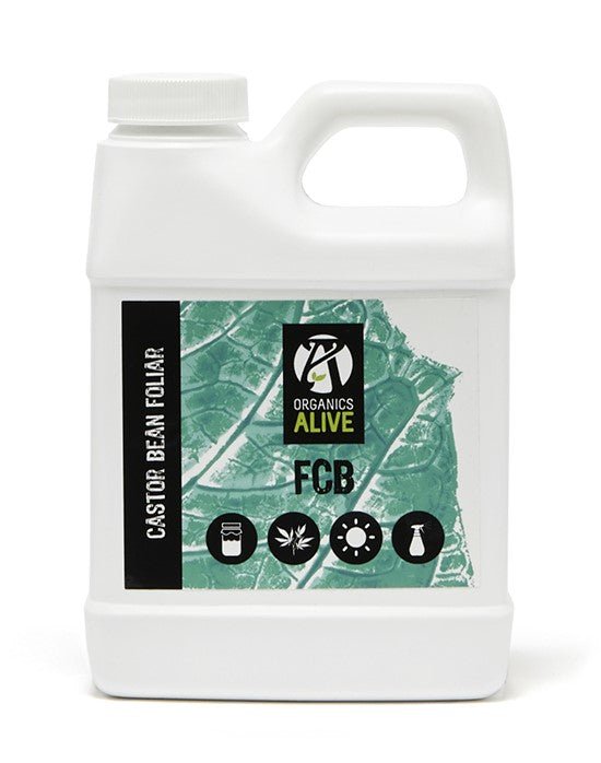 Castor Beans Foliar | FCB Castor Foliar | HIGHGRADE.CH