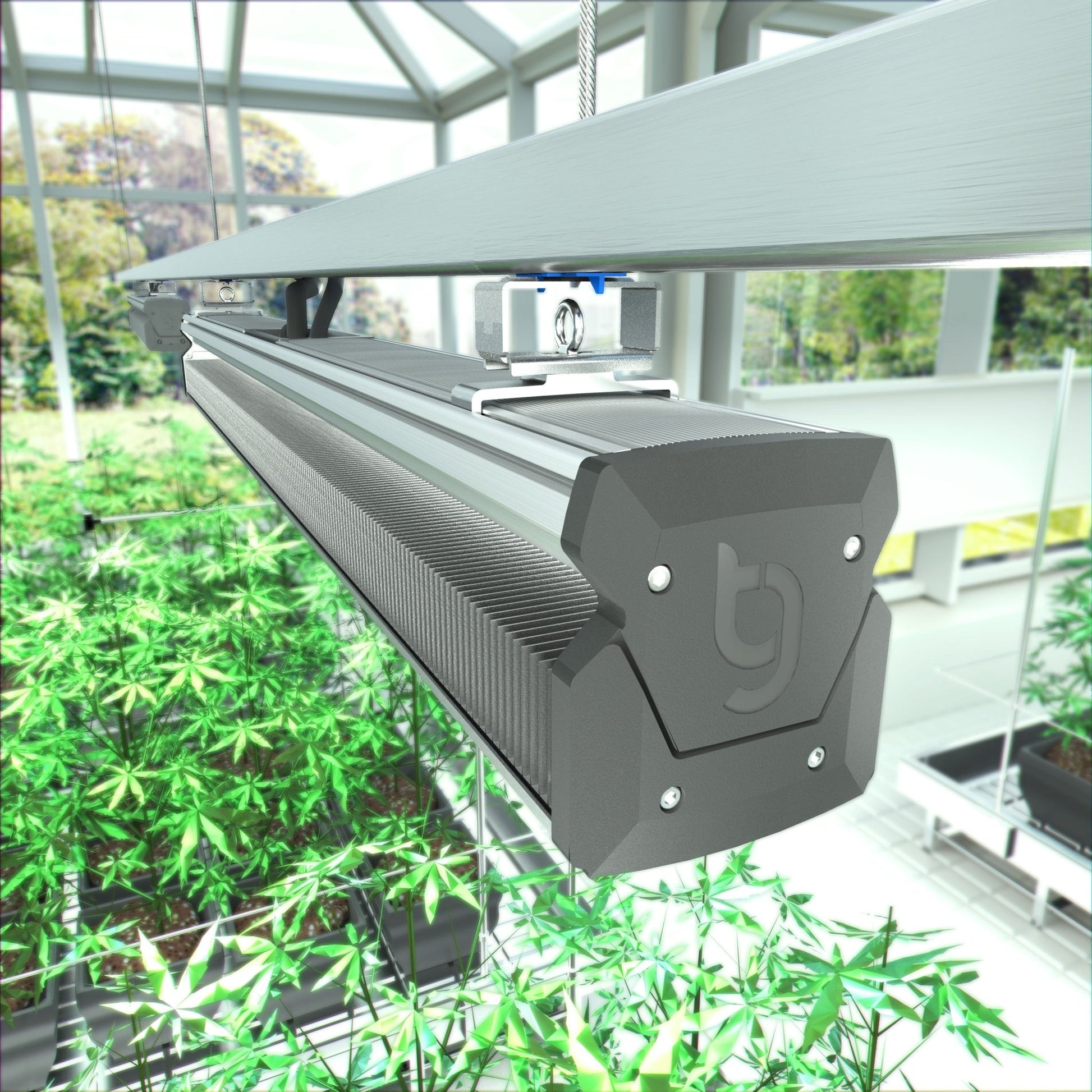 Outdoor Grow Lights | Waterproof Grow Lights | HIGHGRADE.CH