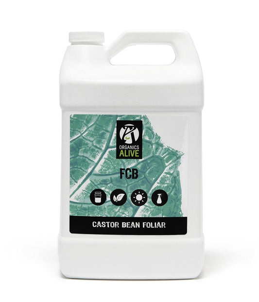 Castor Beans Foliar | FCB Castor Foliar | HIGHGRADE.CH